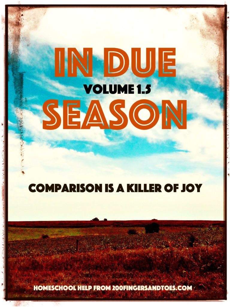 Comparison is a Killer of Joy | In Due Season Volume 1.5