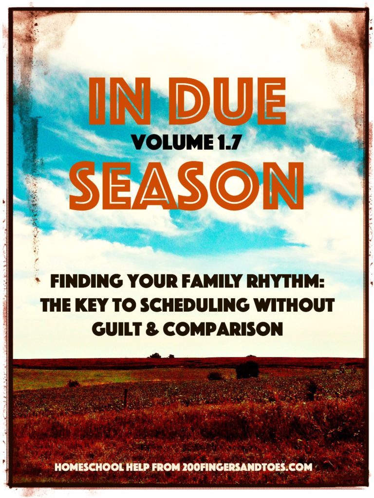 Find your family’s personal rhythms and schedule without comparison or guilt | In Due Season Volume 1.7