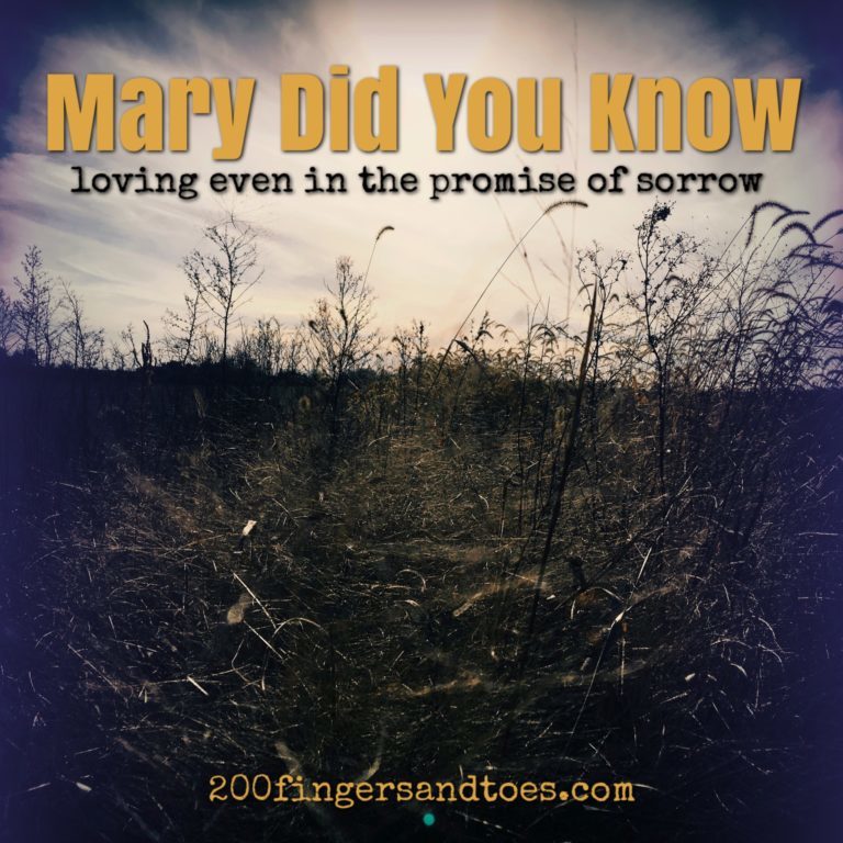 Mary Did You Know – Loving, even in the promise of sorrow