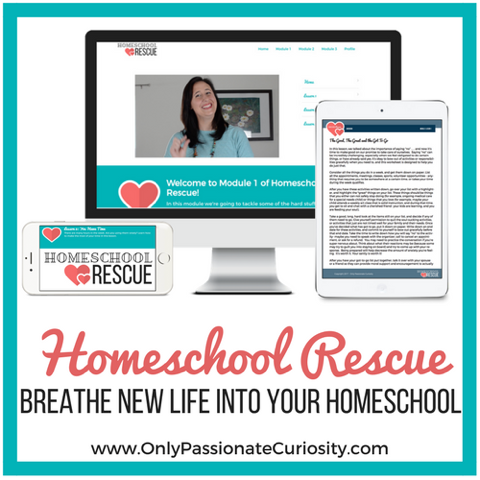 It’s Time To Get The Kinks Out of Your Homeschooling Armor {Review}