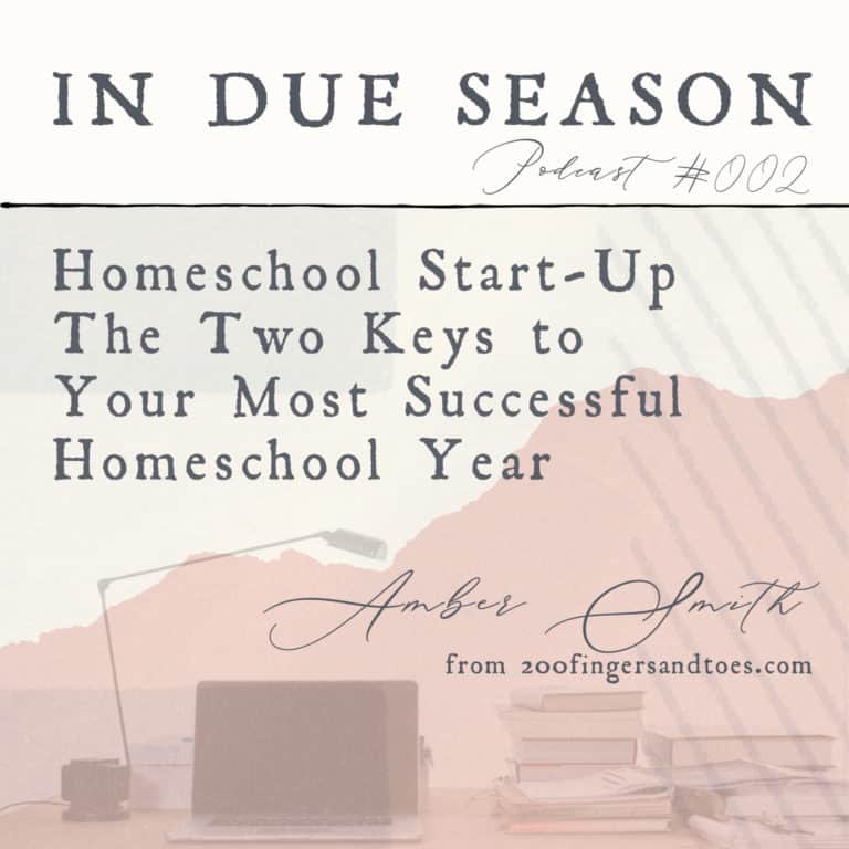 2 Keys to Planning Your Most Successful Homeschool Year