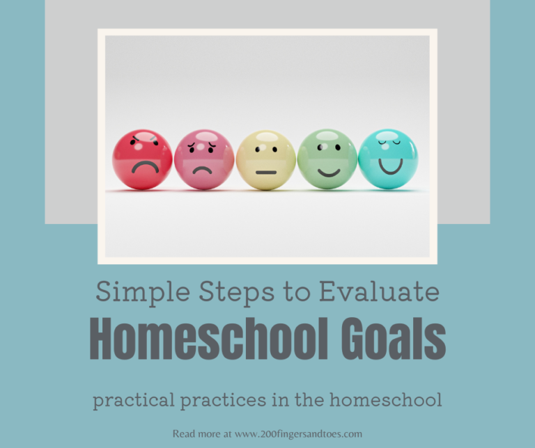 Simple Ways Goals Help to Evaluate Our Homeschool